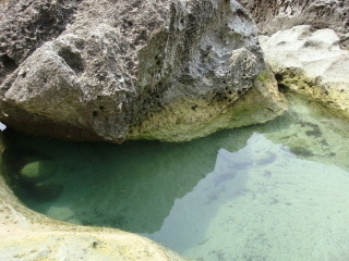 緑色凝灰岩のため水たまりが緑色に見える