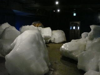 本物の流氷が展示されています。