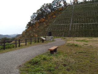 高台からダムを見られる公園が整備されています。