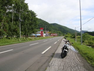 キツネ村前の国道