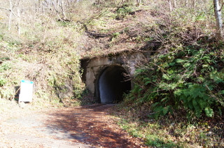 桝沢ダムへ至るトンネル