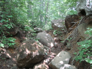 大きな石が転がっている登山道
