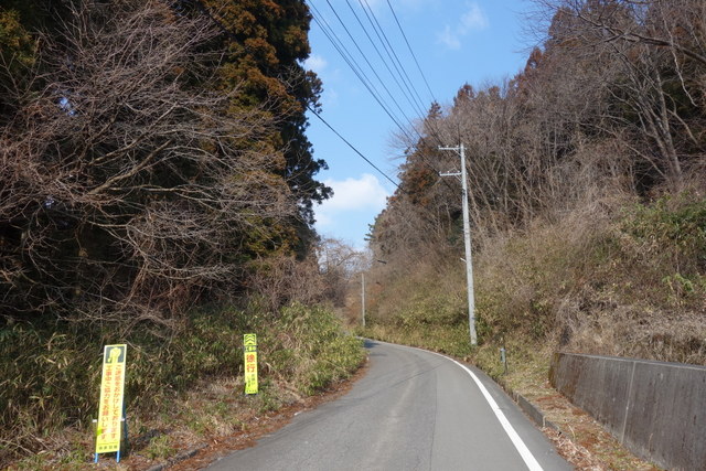 林道は1.5車線の舗装道路である。